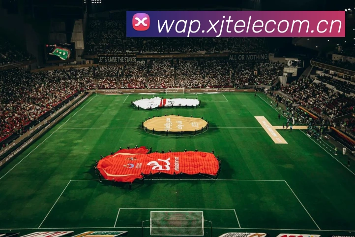 爱游戏ayx体育APP 封面图